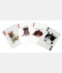Jeu de cartes chats en 3D CAR7441 Cartes à jouer