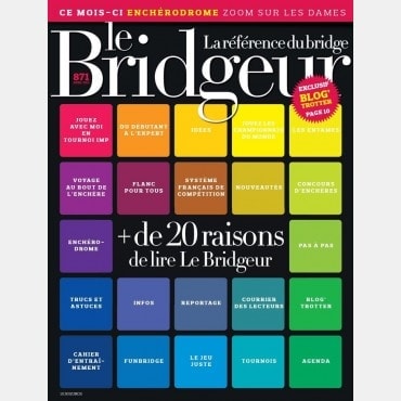 copy of Bridgeur January 2014