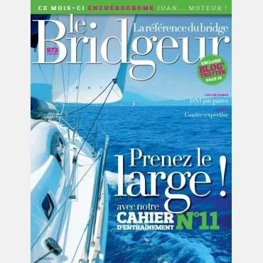 copy of Bridgeur January 2014