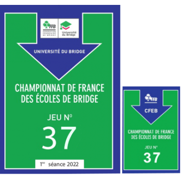 Jeux Fléchés - Niveau débutant CAR91 Cartes fléchées FFB