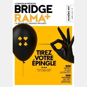 BRIDGERAMA+ Avril 2023 numérique ou papier rama_num_pap497 Commerce